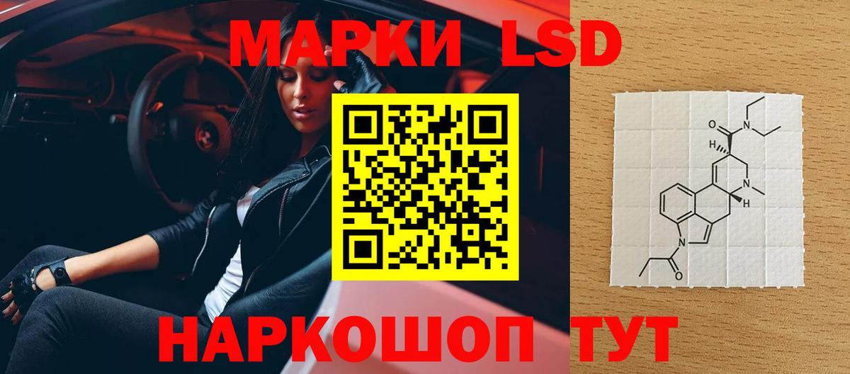 Новозыбков  ЛСД экстази кислота  LSD-25 экстази  Лсд 25 экстази кислота  Вход с VPN 