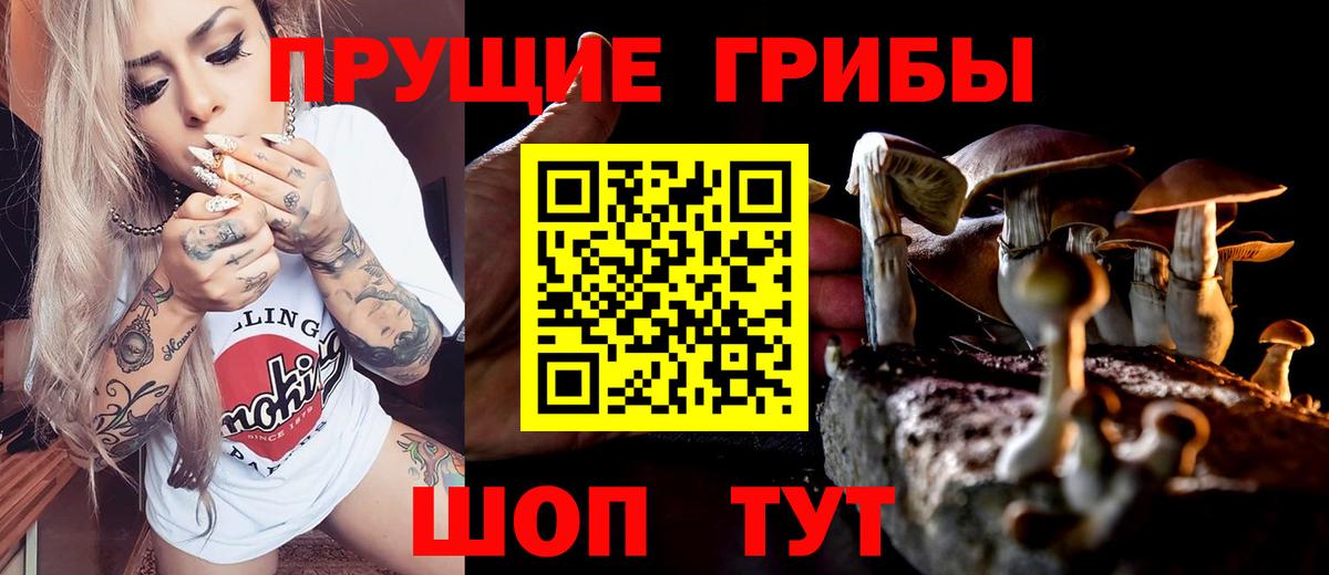 купить наркотики цена  Галлюциногенные грибы GOLDEN TEACHER  Галлюциногенные грибы мухоморы  Вход с VPN  Новозыбков 