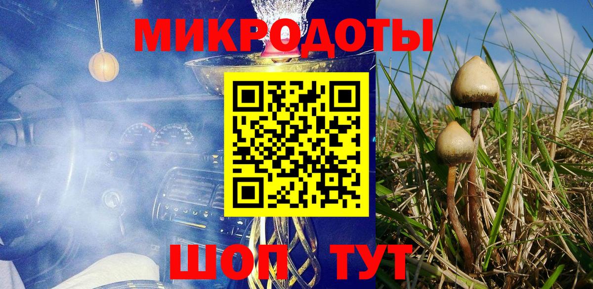 Псилоцибиновые грибы Magic Shrooms Новозыбков